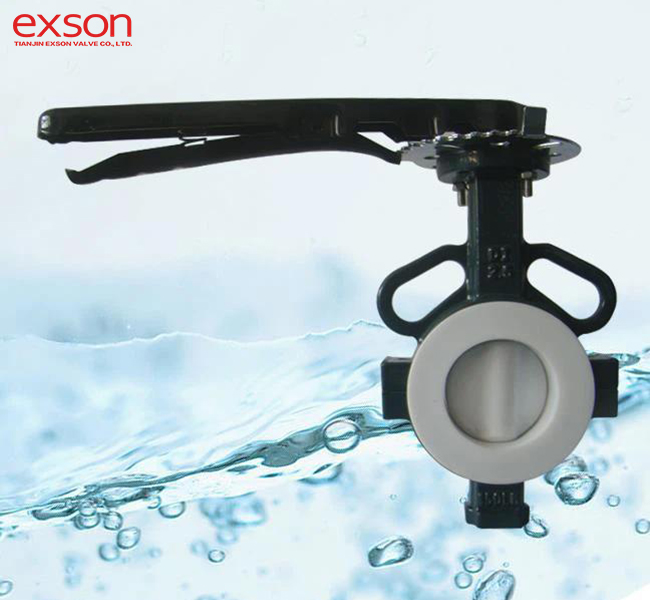 PTFE Butterfly Valve